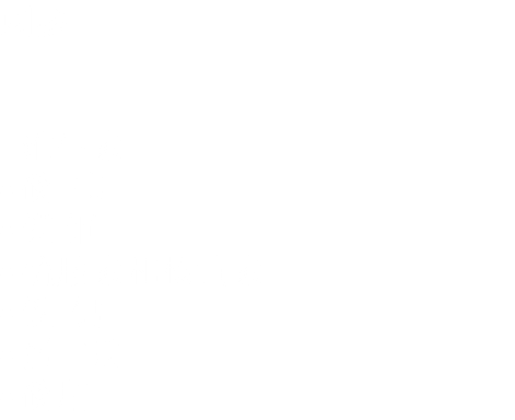 刺参 Stichopus janopicas ﷯ 维生素 C, B5, B6, B2, B1; ﷯ 磷, 碘 ﷯ 镁,铜 ﷯ 硫胺素和核黄素 ﷯ 铁, 钙 ﷯ 蛋白质 ﷯ 磷脂