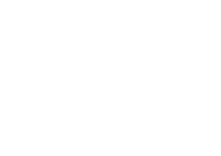 虾夷盘扇贝 Patinopecten yessoensis ﷯ 维生素 B1, B2, B12; ﷯ 碘 ﷯ 蛋白质 ﷯ 氨基酸